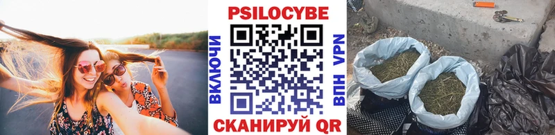 Псилоцибиновые грибы мицелий Шенкурск