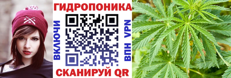 МАРИХУАНА AK-47 Шенкурск