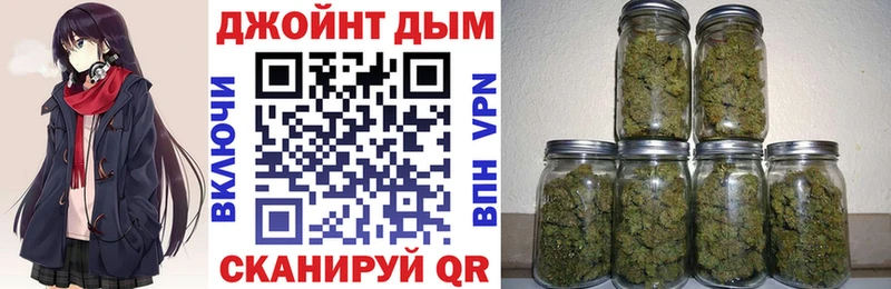дарк нет наркотические препараты  Шенкурск  Конопля сатива 